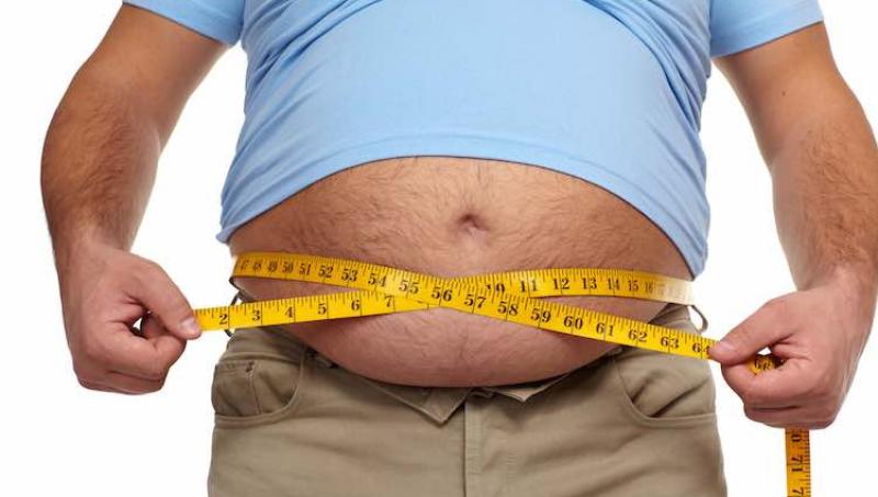Ayurveda for Obesity